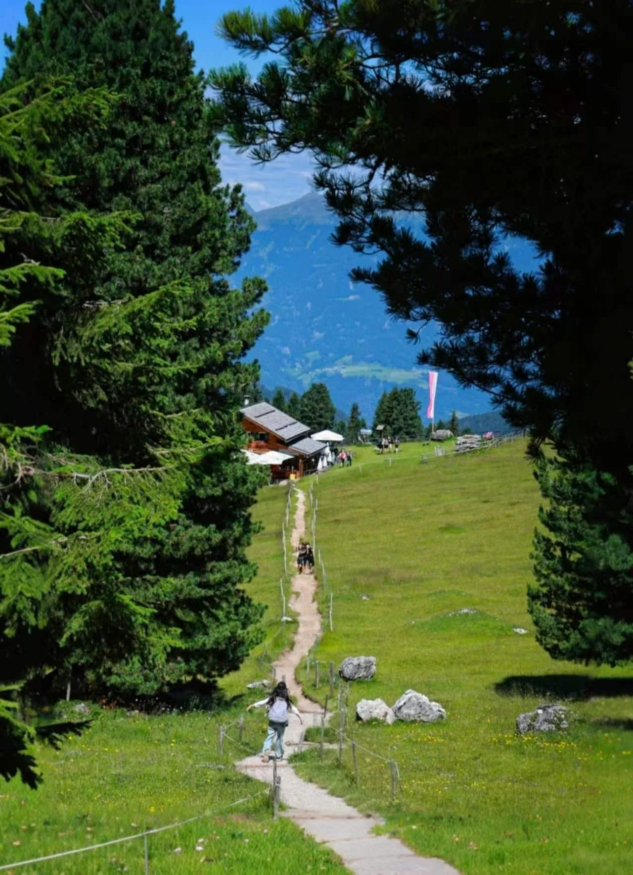 穿过树林去见下一座山